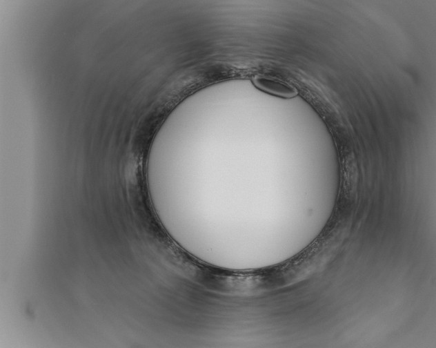 X0000111510225200908041229
