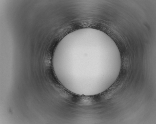X0000111510226200908041229