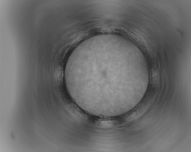 X0000111510228200908041229