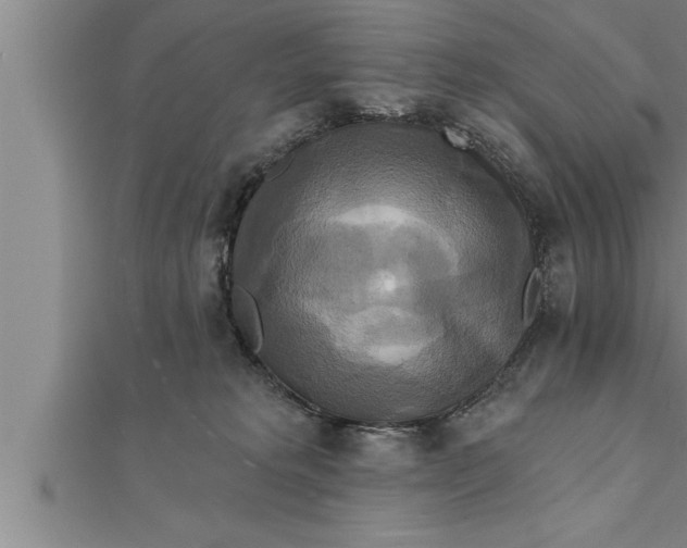 X0000111510229200908041229
