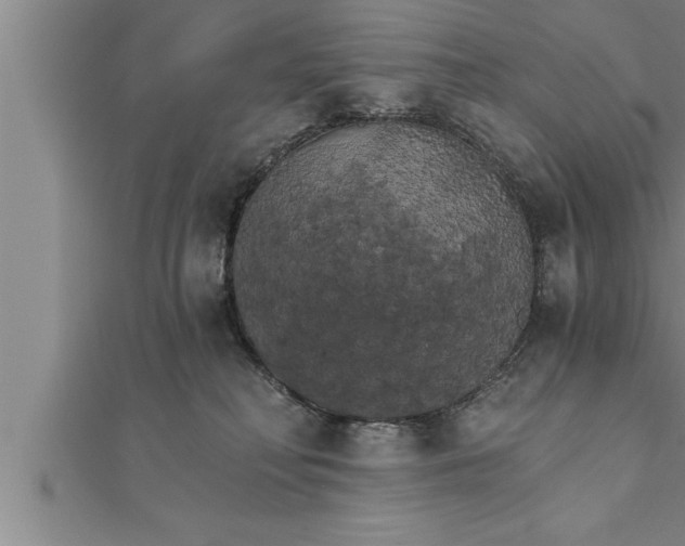 X0000111510230200908041229