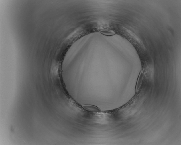 X0000111510233200908041229