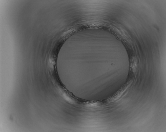X0000111510235200908041229