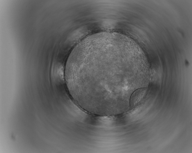 X0000111510238200908041229