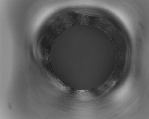 X0000111510239200908041229