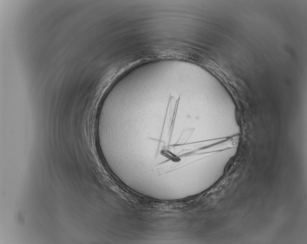 X0000111510241200908041228
