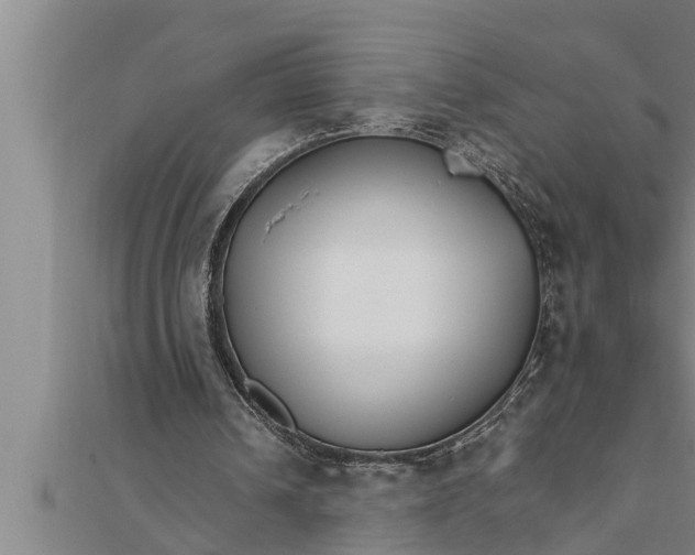 X0000111510242200908041228