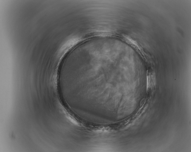 X0000111510243200908041228