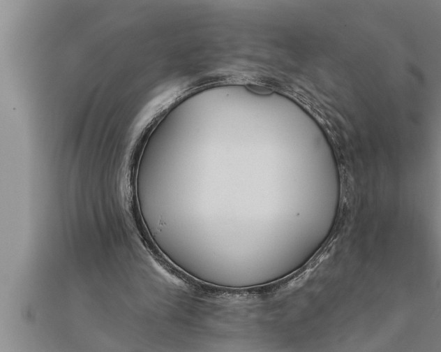 X0000111510245200908041228