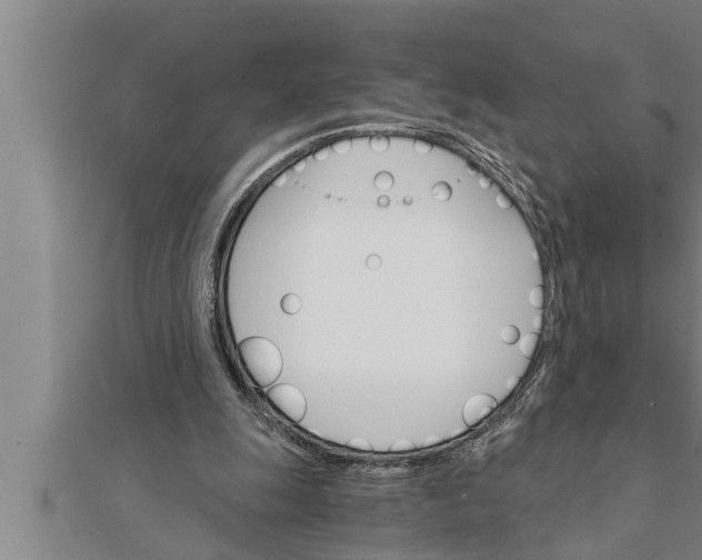 X0000111510247200908041228