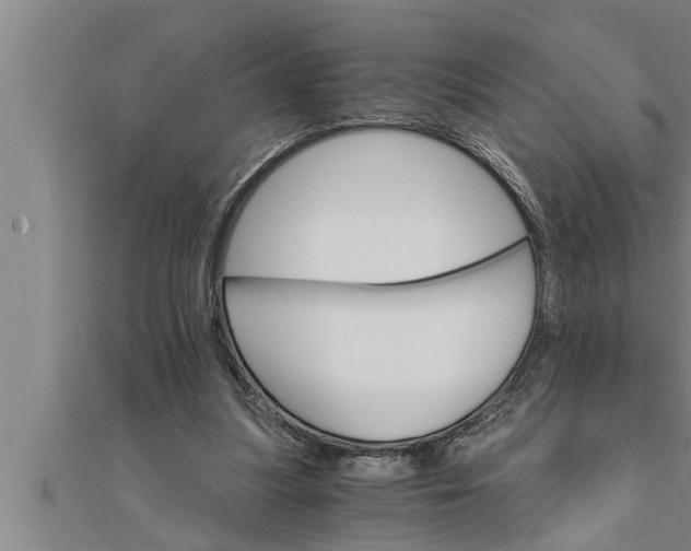 X0000111510251200908041228