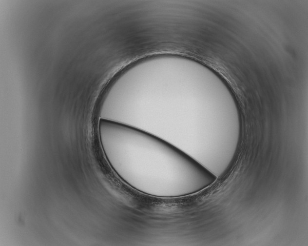 X0000111510252200908041228
