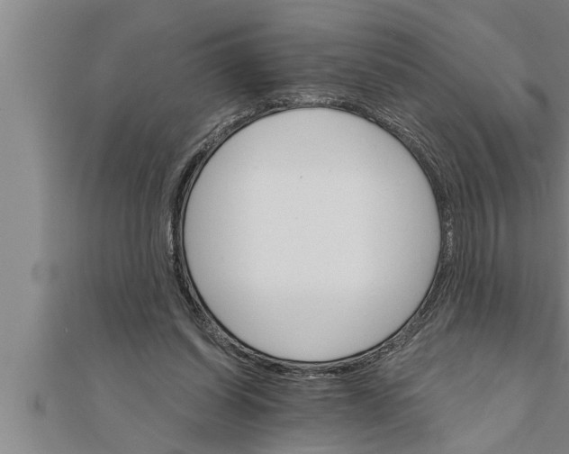 X0000111510254200908041228