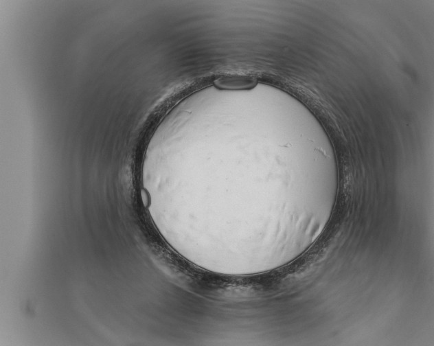 X0000111510256200908041228