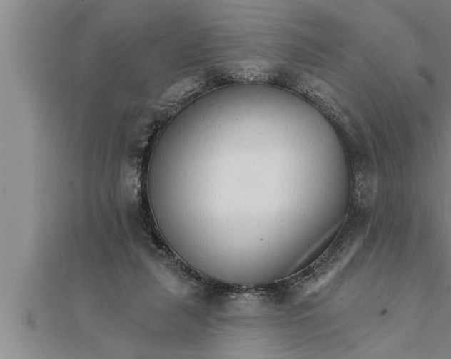 X0000111510259200908041228