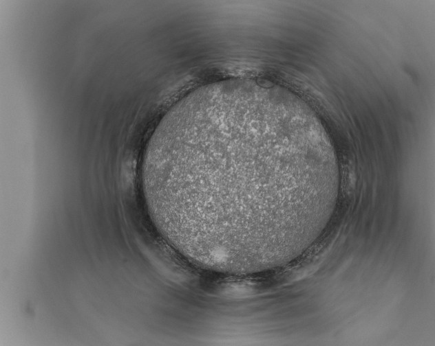 X0000111510263200908041229