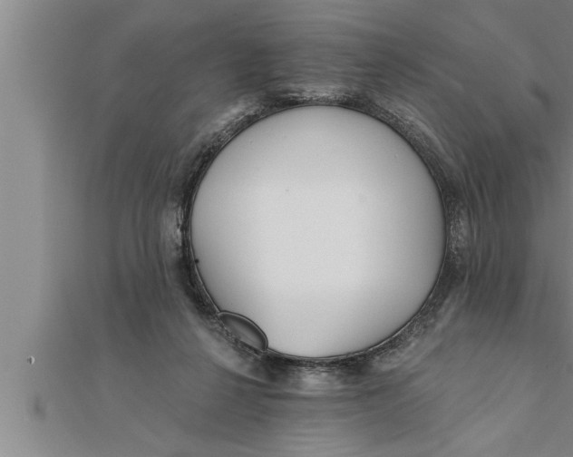 X0000111510264200908041229