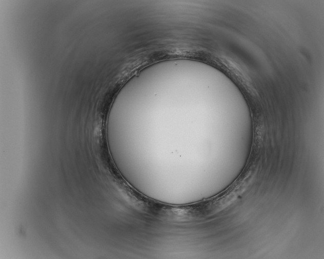 X0000111510265200908041229