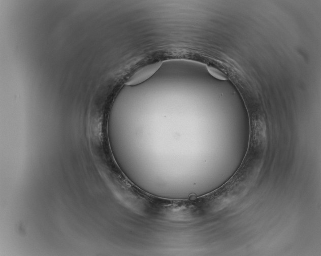 X0000111510267200908041229