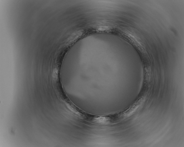 X0000111510269200908041229