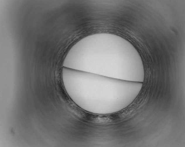 X0000111510270200908041229