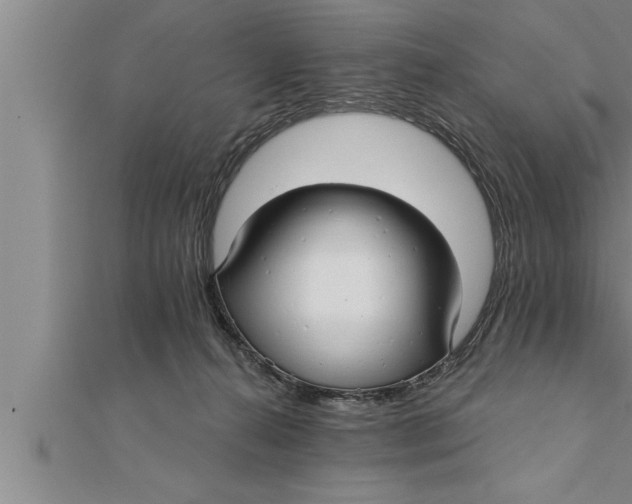 X0000111510272200908041229