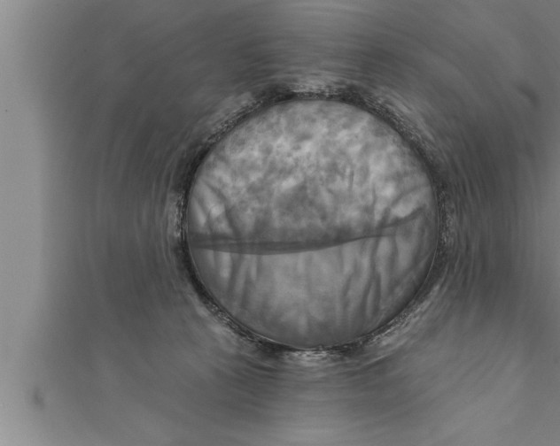 X0000111510273200908041229
