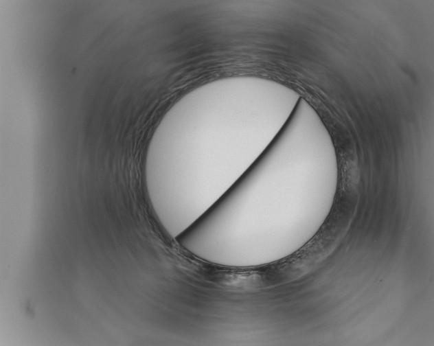 X0000111510274200908041229