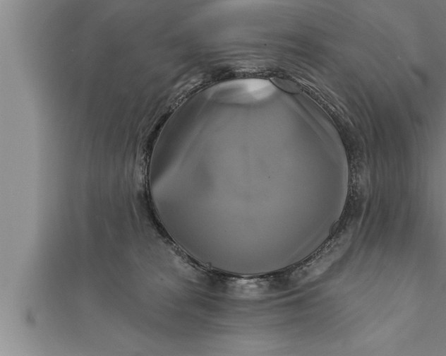 X0000111510277200908041229