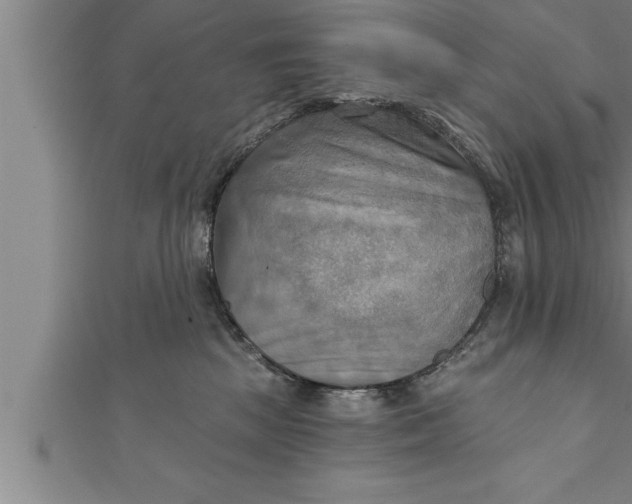 X0000111510281200908041229