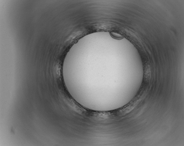 X0000111510282200908041229