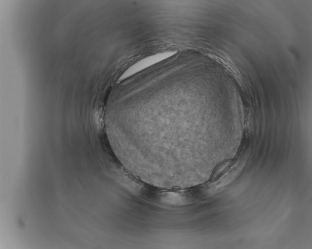 X0000111510285200908041229