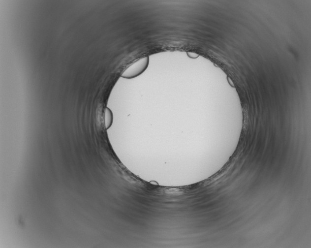 X0000111510287200908041229