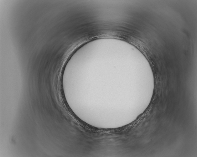 X0000111510289200908041228