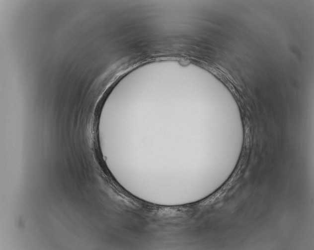 X0000111510290200908041228