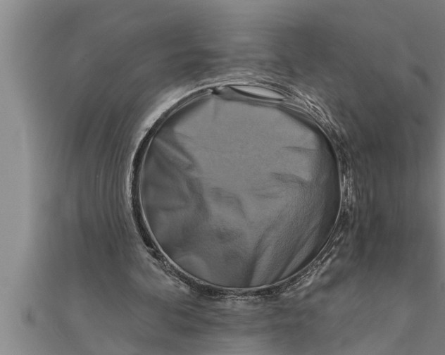 X0000111510292200908041228