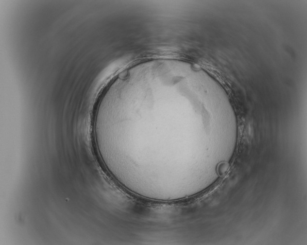 X0000111510293200908041228
