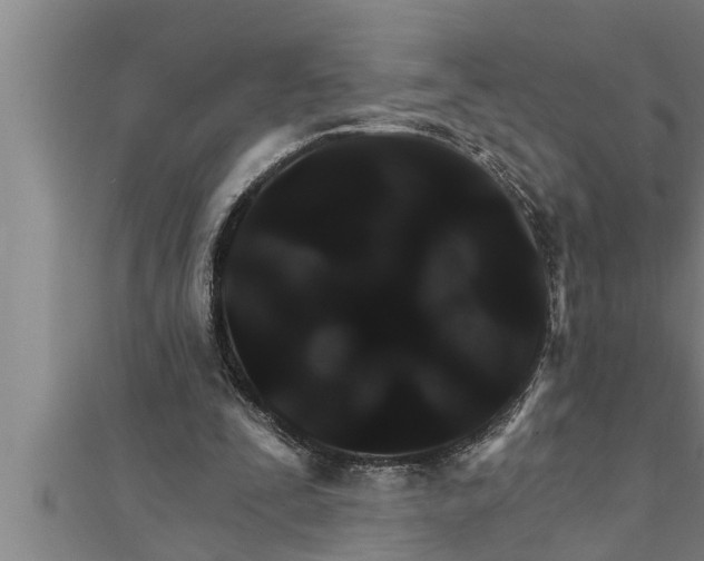 X0000111510295200908041228