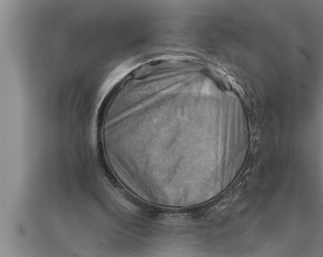X0000111510296200908041228