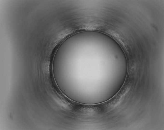 X0000111510299200908041228