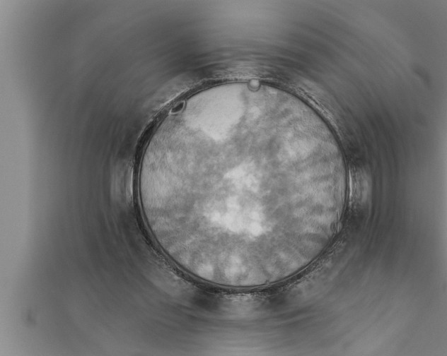 X0000111510301200908041228