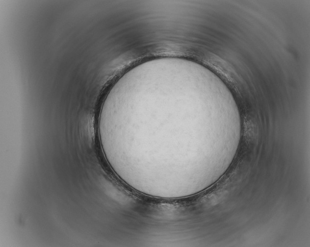 X0000111510302200908041228