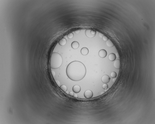 X0000111510303200908041228