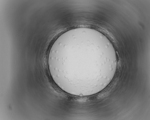 X0000111510306200908041228