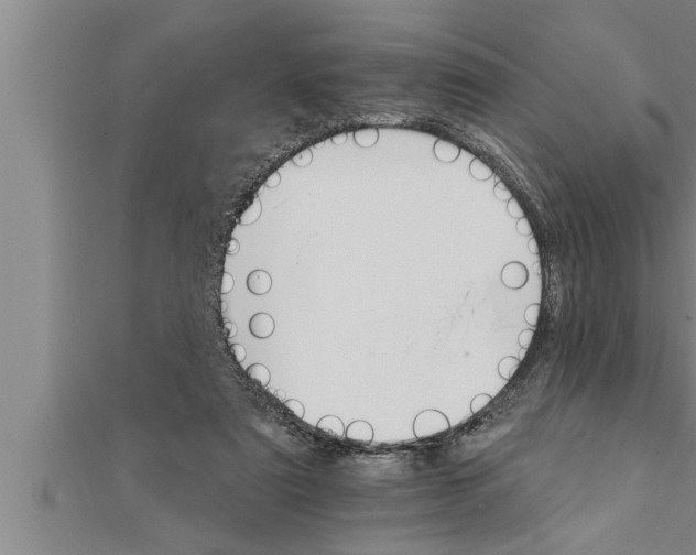 X0000111510307200908041228
