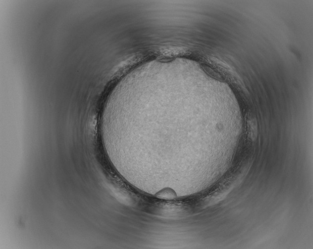 X0000111510308200908041228