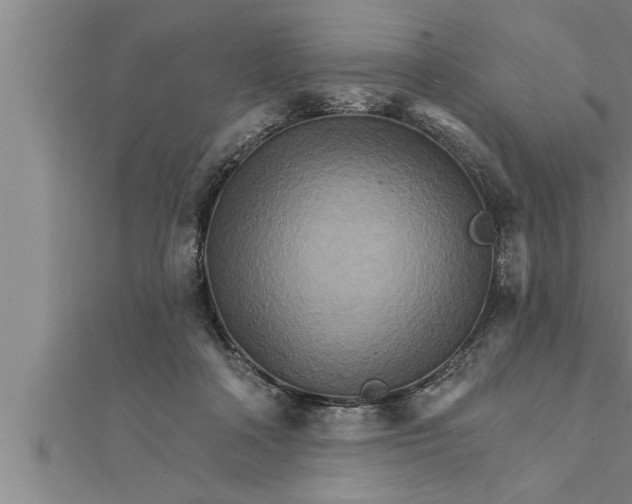 X0000111510314200908041228