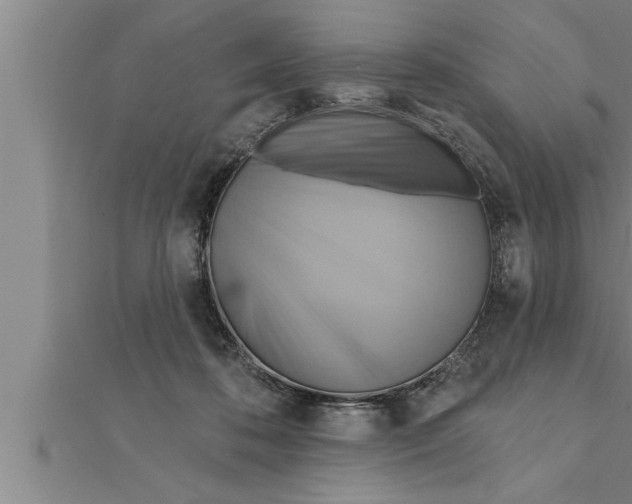 X0000111510316200908041228