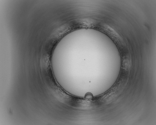 X0000111510318200908041228