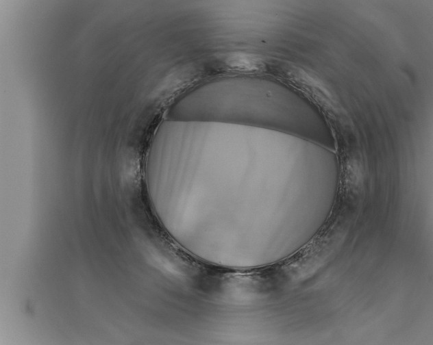 X0000111510320200908041228